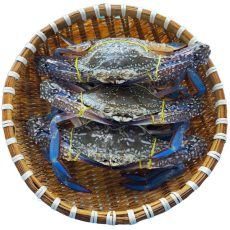 Ghẹ Xanh Sống