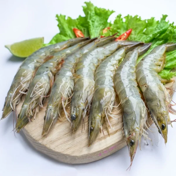 Tôm Thẻ - Hình ảnh 4
